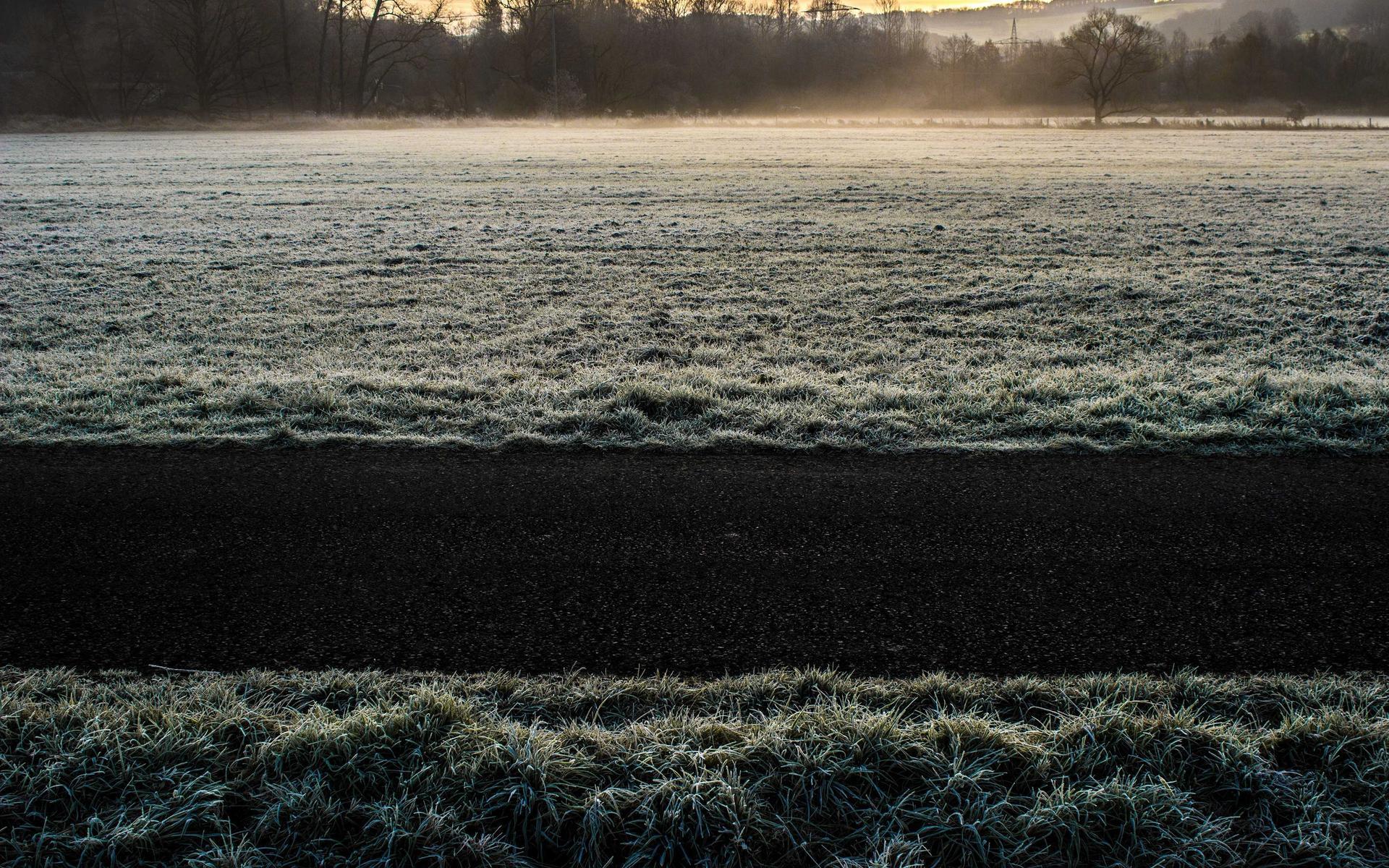Newly installed 18th Edition consumer unit with tidy cable management